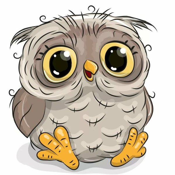 Смешная Сова на белом фоне