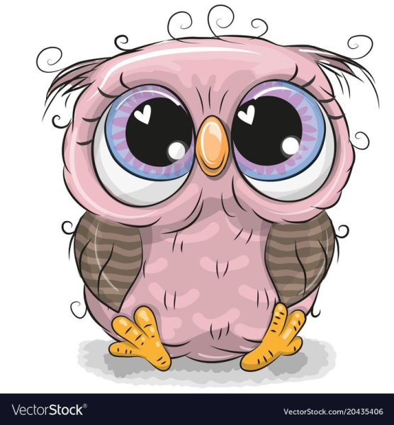 Совенок на белом фоне