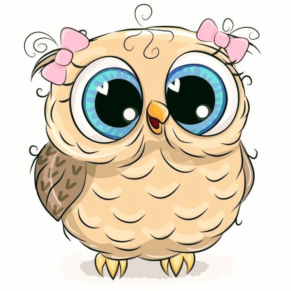 Сова на белом фоне мультяшная