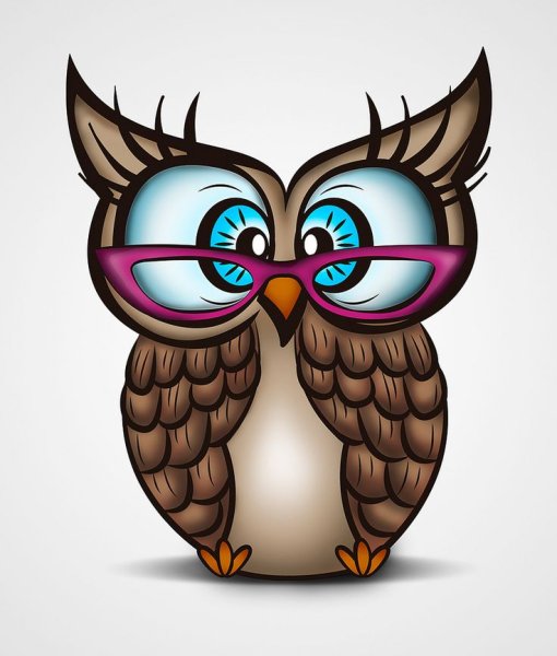 Сова в очках