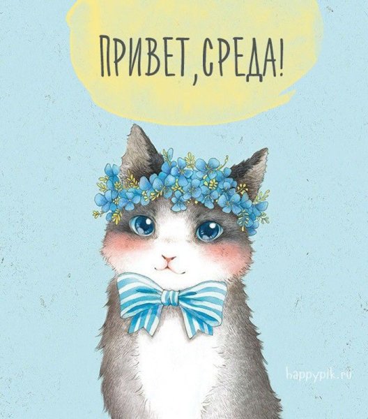 Открытки весёлой среды