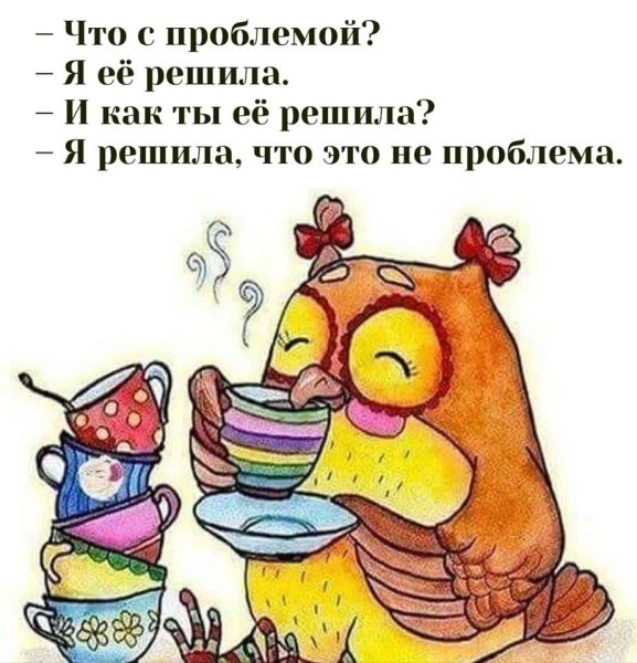 Сова пьет чай