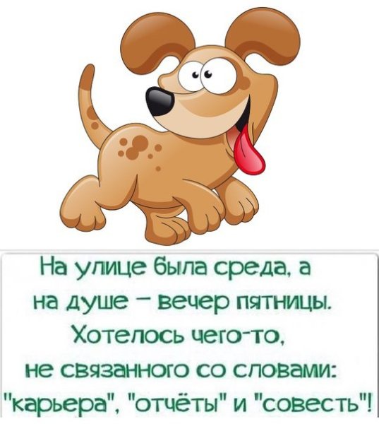 Среда цитаты