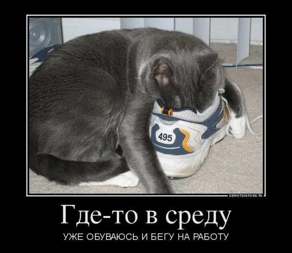 Смешное про среду