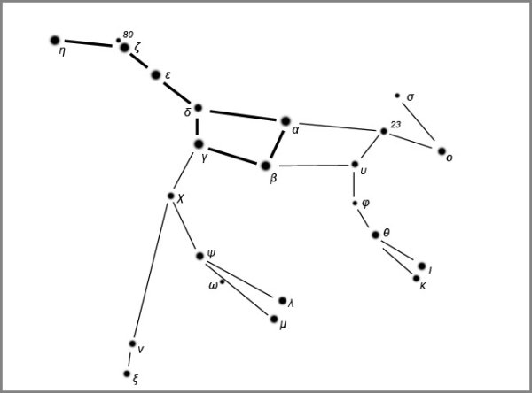 Малая Медведица Созвездие схема