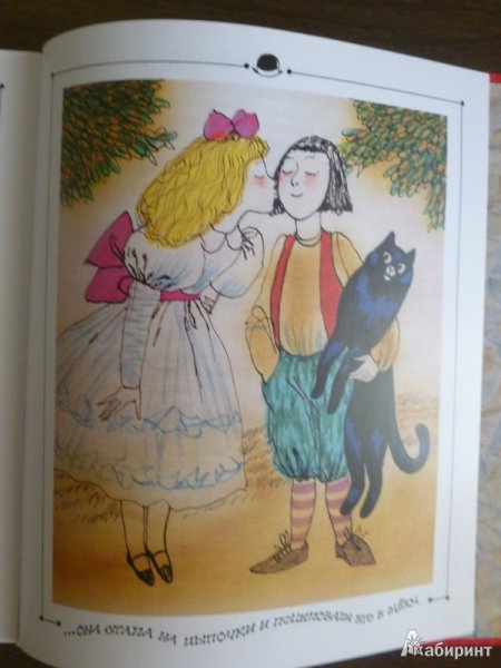 Чапек : большая Докторская сказка