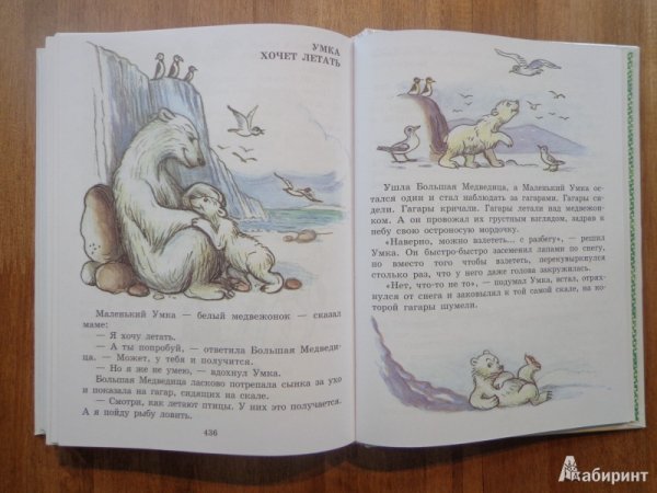 Золотая книга сказок в рисунках в. Сутеева