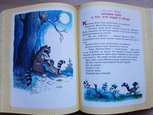 Обложка детской книги