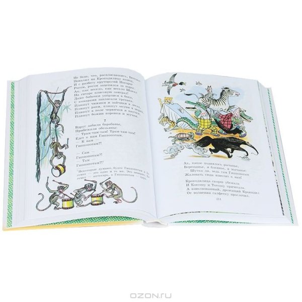 Маленькое изображение книги