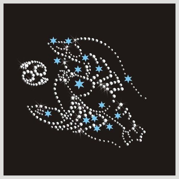 Картина из кристаллов Сваровски знаки зодиака