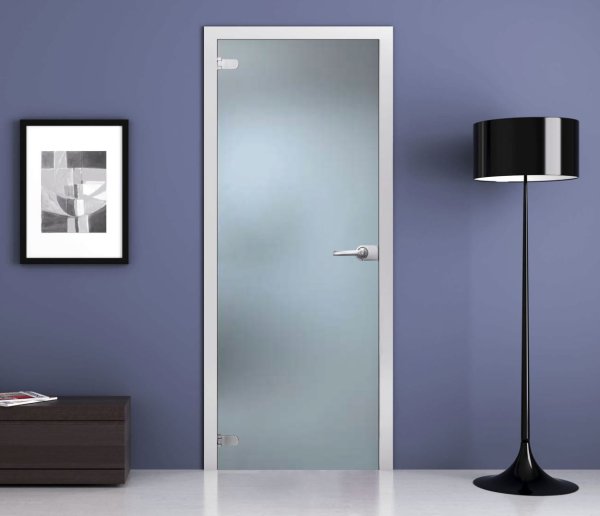 Стеклянная дверь 2000х800