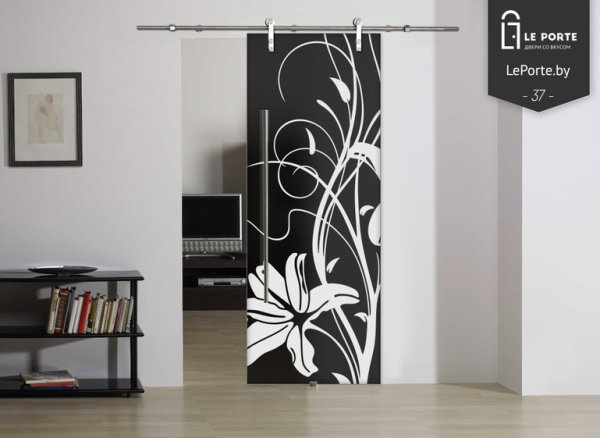 Раздвижные двери межкомнатные с рисунком