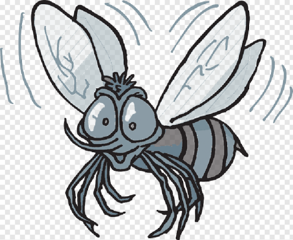 Миленькая Муха рисунок