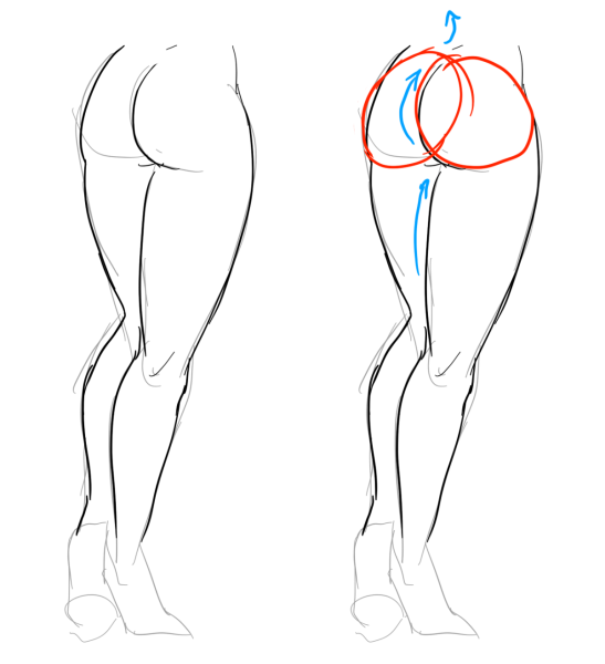 Рисование бедер