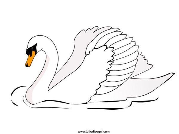 Лебедь контур