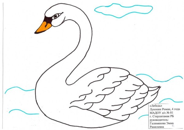 Лебедь сбоку рисунок