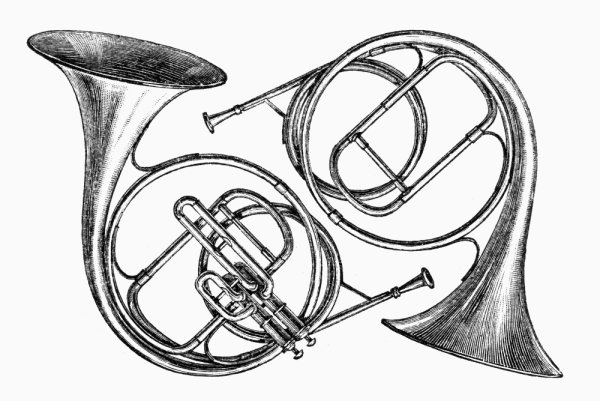 Валторна музыкальный инструмент для детей
