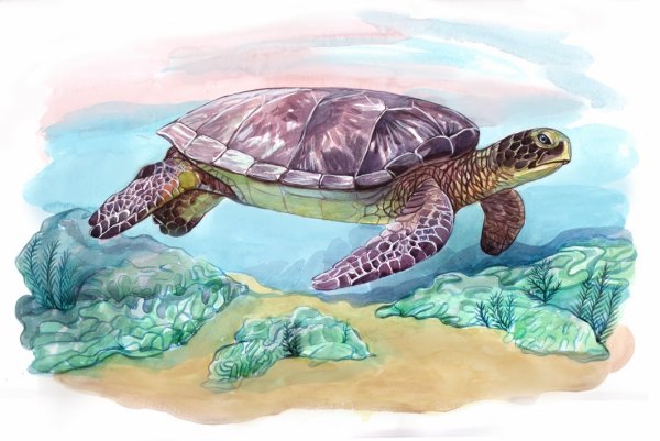 Морская черепаха