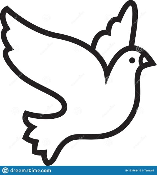 Голубь контур