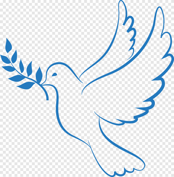 Голубь сбоку рисунок