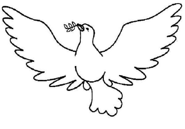Голубь раскраска
