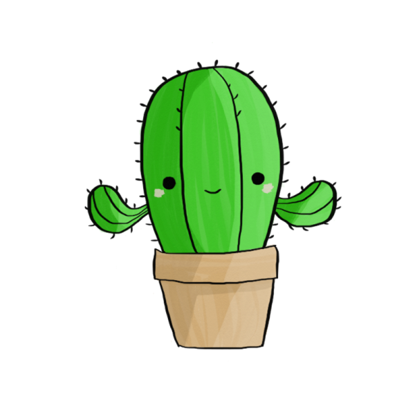 Кактус Сан Педро мульт