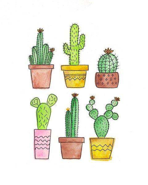 Идеи для рисования легкие кактусы
