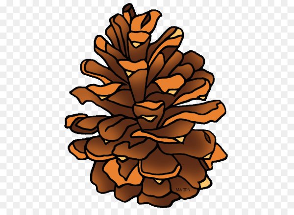 Шишки мультяшные