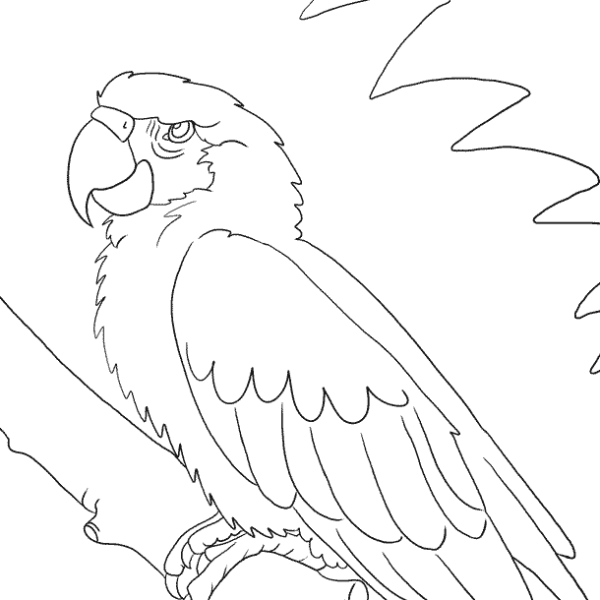 Попугай раскраска для детей