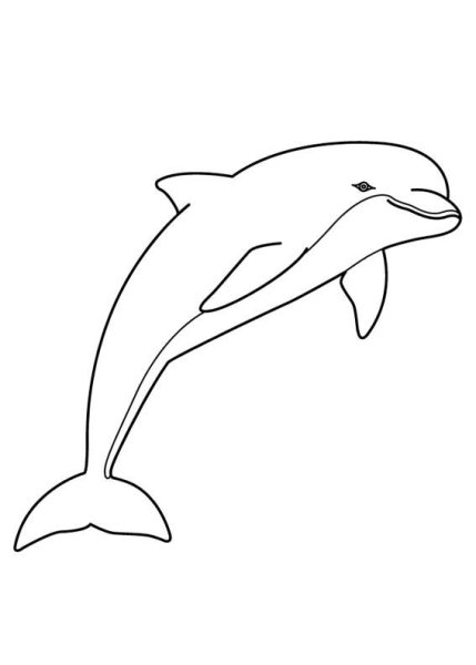 Дельфин контур вид сбоку