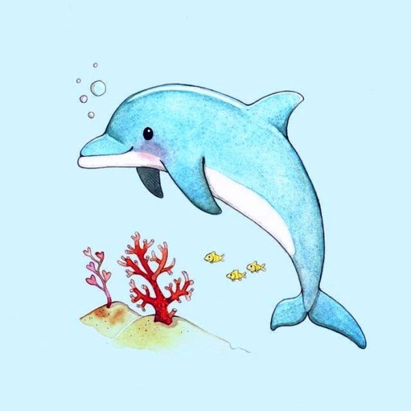 Срисовка дельфина