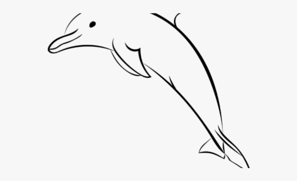 Дельфин рисунок