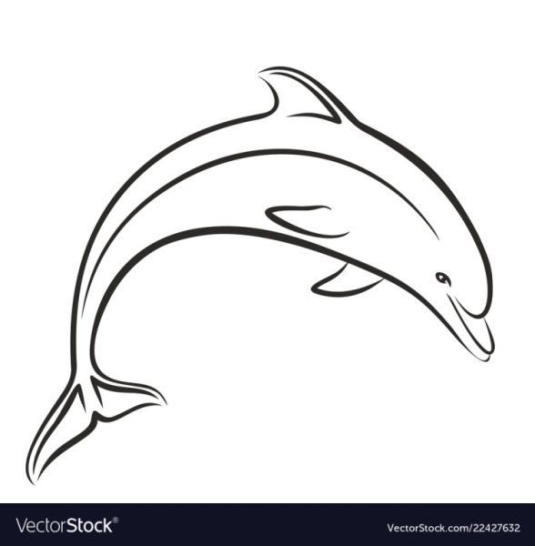 Тату Дельфин черно-белое