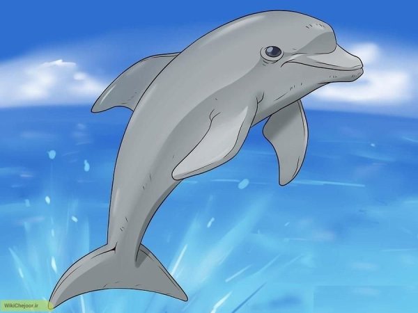 Дельфины рисование