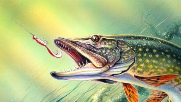 Классные арты щуки