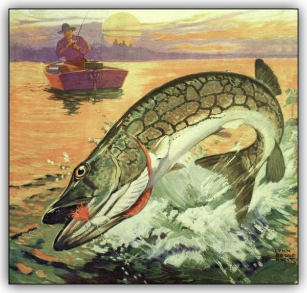 Щука живопись