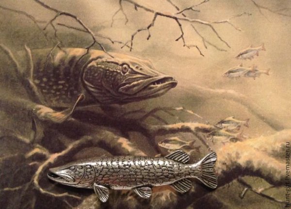 Щука в засаде