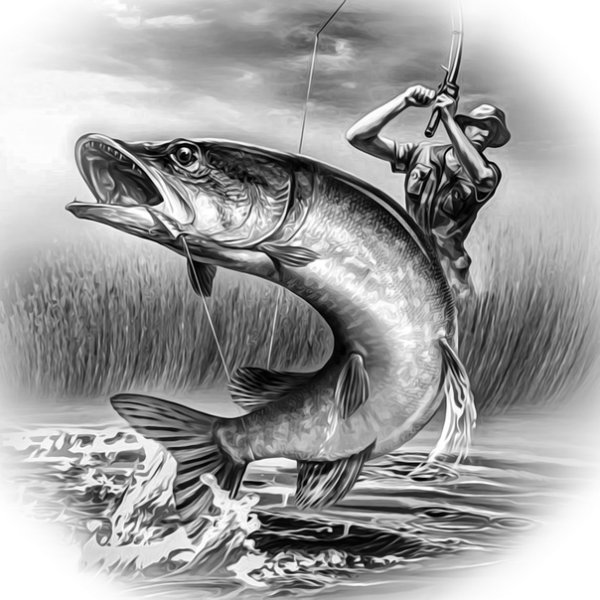 Щука Графика