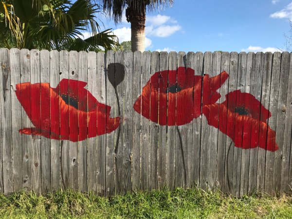 Разрисованный забор