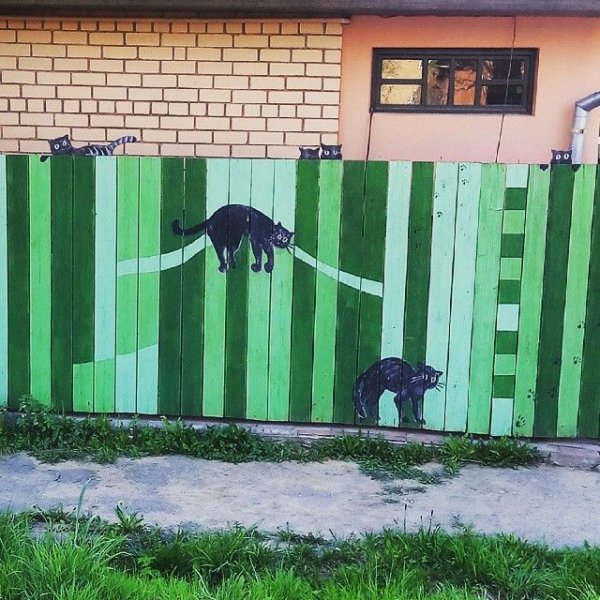 Разрисованный забор
