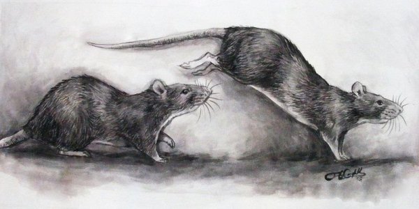 Стилизованная крыса