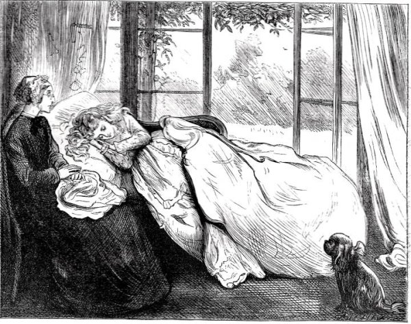 Герберт покет