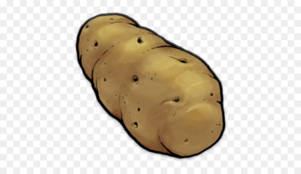 Кабачок картошка для детей на прозрачном фоне