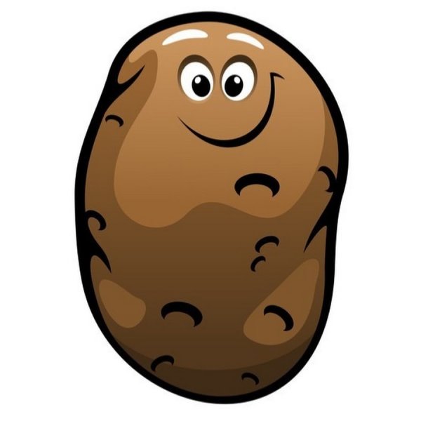 Картошка с глазками
