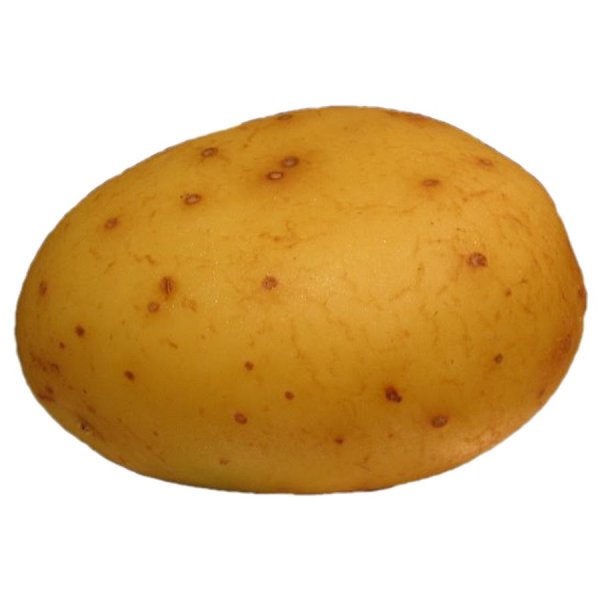 Картошка на прозрачном фоне
