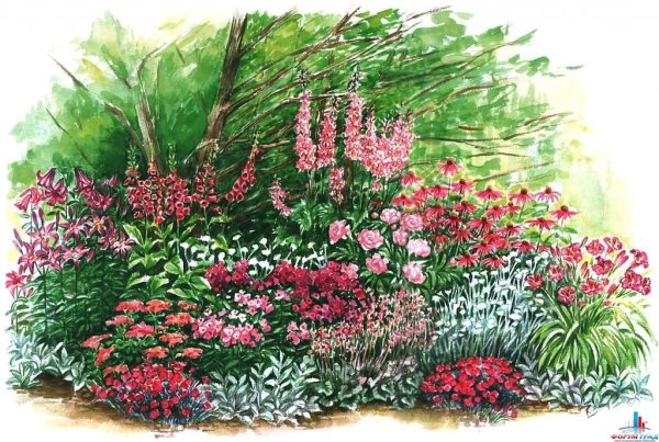 Очиток карандашом