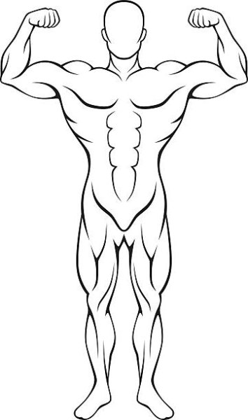 Контур мускулистого человека
