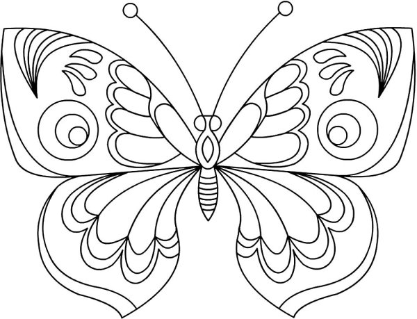 Божья коровка раскраска