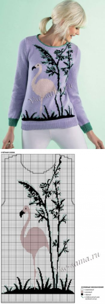 Свитер интарсия Фламинго