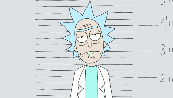 Авокадо на зеленом фоне